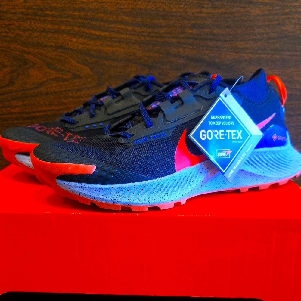 Nike Pegasus Trail 3 GTX